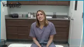 Veterinaire Pet Care   Nutrition for Cats