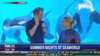 Summer Nights at SeaWorld