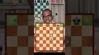 knight bishop check mate #chess#