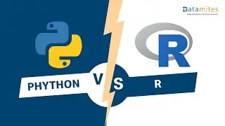 Python vs R - What is the Difference, Pros and Cons