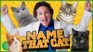 Can He Guess Your Cat's Name? | Dr. Gary Richter - Ultimate Pet Vet