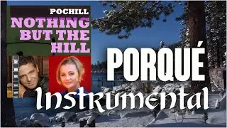 Pochill. Porqu&eacute;. Instrumental / Living Landscapes &ndash; Four Seasons. Clip. Custom, 2008 &ndash; 2009