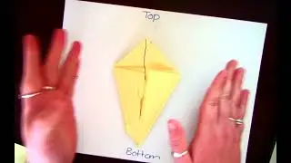 Origami Duck Video Lesson