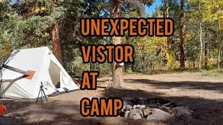 A scary situation while camping alone in my canvas tent