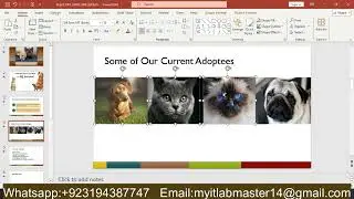 Exp22_PowerPoint_Ch03_HOE_Vet_Tech | Exp22 PowerPoint Ch03 HOE Vet Tech