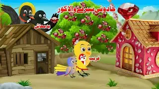 Magical diamond house kahani | new pashto funny kahani | جادوئی ہیرے کور کہانی | meena marghe kahani