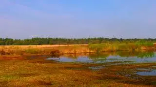 Holtingerveld Drenthe