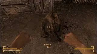 Arcade Gannon Won't Talk to Me in Fallout New Vegas