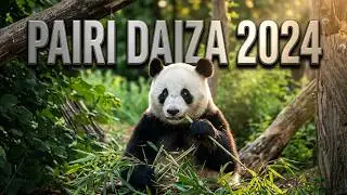 Pairi Daiza 2024