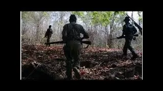 7 Maoists Killed In Fierce Encounter With Security Forces In Chhattisgarh