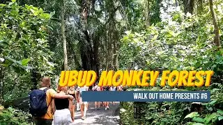 WALKING TOUR IN UBUD MONKEY FOREST | Best Place Relaxing | Must Visit!!