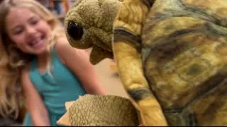 Folkmanis Standing Tortoise Hand Puppet: Cute And Cuddly!