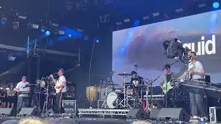 Squid - Paddling - Glastonbury 2022