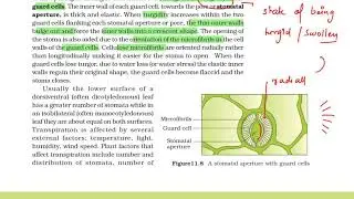 NEET 2020 - Revision In 60 Days | Class 11 Transport In Plants Part - 5 | NEET Biology | 11 | TR...