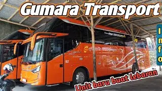 UNIT BARU ‼️ PO GUMARA TRANSPORT MENYIAPKAN AMUNISI BARU BUAT LIBUR LEBARAN