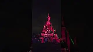 &ldquo;DLP Castle Fireworks December 2025