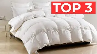 TOP 3 Meilleure Couette 240x220 2024