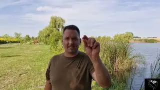 Never/Zero paprikás kenyér bojli kipróbálás Látókép!