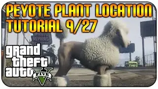 GTA 5 (XB1/PS4) NEW! 