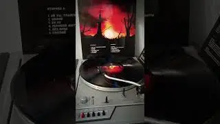 Сектор Газа - 
