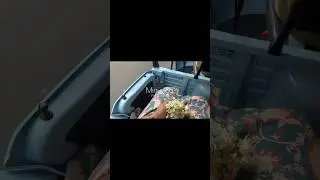 Mini Vlog || Vishu 2025 ⋆.˚🦢⋆