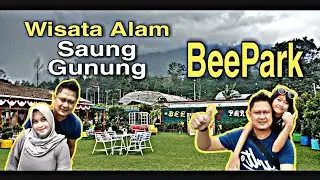 Obyek wisata alam Taman Bunga Beepark Argalingga Majalengka | cocok untuk liburan keluarga