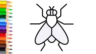 How to draw fly easy and step by step | learn drawing fly simple step short video