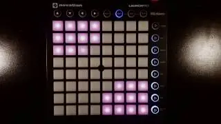 501 The Final Cut Launchpad Light Show Preview