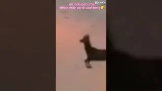 #tocomfome