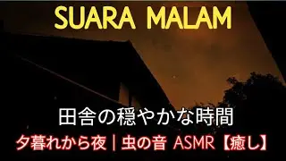 夜へと移ろう夕暮れと虫の音ASMR #虫の音#夕暮れ#夜の癒し#ASMR#自然音#癒し動画#リラックス#睡眠用BGM