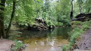 Litter Picking in Paradise. Plym River. Two Cliffs