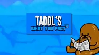 WTF Taddl Intro | by Haihappen | ENTRY |