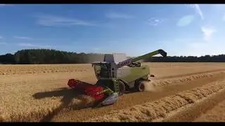 [4K] Claas Lexion 650 am Getreide Dreschen