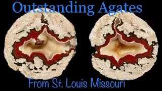 Union Road Agate Hunt with an Amazing Collection Tour
