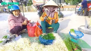 Khám Phá Chợ Quê Thanh Điền Tây Ninh Những Ngày Cận Tết 