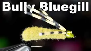 Bully Bluegill Fly - McFly Angler Fly Tying Tutorial