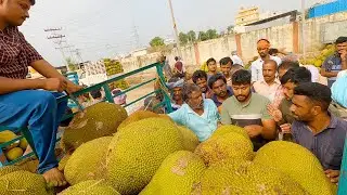 Red Jackfruits live auction at Chelur Market