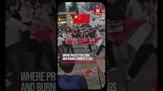 Seoul Streets Ignite: Flag-Burning Fury Against China&rsquo;s Grip