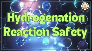 Hydrogenation reaction safety