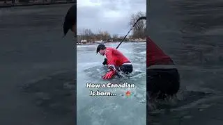 How a Canadian is BORN, shortly after devoured a poutine in my igloo 🧊