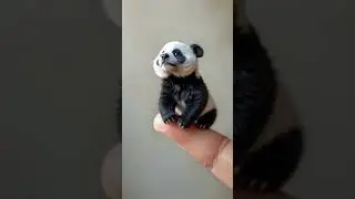 Tiny Panda On A Finger