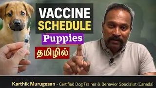 நாய்களுக்கு தடுப்பூசி ஏன்? எப்போது? கொடுக்க வேண்டும் Puppy Vaccination #tamil #dogtrainer