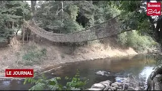 DANANE: Inauguration du pont de lianes du village VATOUO