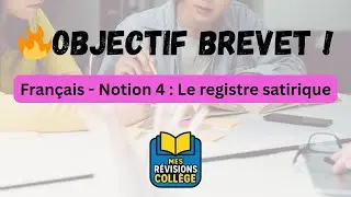 R&eacute;vise le Brevet de Fran&ccedil;ais - Notion 4 : Le Registre Satirique