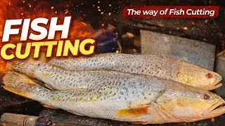 &ldquo;Popa Fish Filleting ASMR 🔪 | Satisfying Clean Cuts & Fresh Fish Sounds&rdquo;