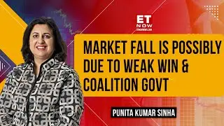 Share Market Crash | 'Ground Reality Was Not Optimistic' Says Punita Kumar Sinha | Stock Market