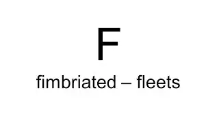 fimbriated - fleets | F | English Dictionary