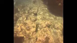 Another short clip at the Marriott Waikoloa beach near the Lava Lava Club side of the beach
