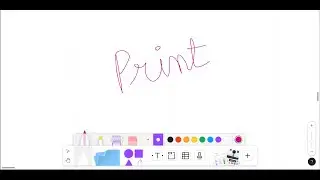 Python Print Function