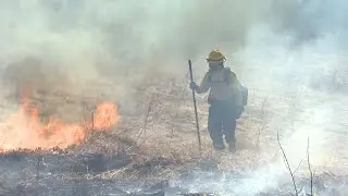PRESCRIBED BURN AT RADNOR LAKE STATE PARK AND NATURAL AREA